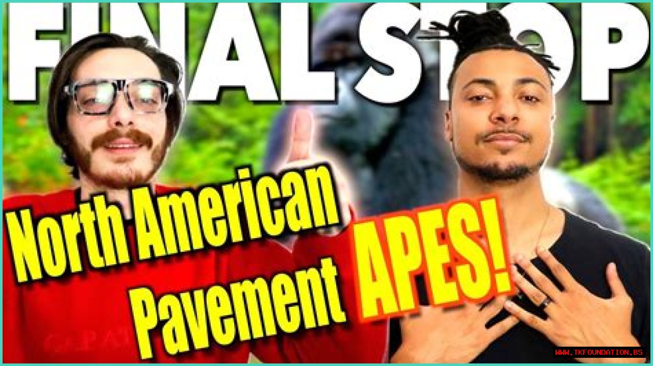 Uncovering Insights On 'North American Pavement Ape Video'